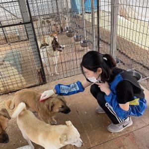 "큰 관심과 따뜻한 응원 부탁"…김새론, 유기견 보호소서 근황 공개해 눈길