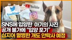 [영상] SNS에 입양한 아기의 사진 공개불가에 "입양포기" 심지어 멀쩡한 개도..
