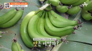 &apos;서민갑부&apos; 제주도 친환경 초록 바나나, 연 매출 11억 원 달성 비결?