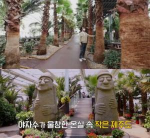 ‘김영철의 동네한바퀴’ 화성 궁평항 야자수카페 위치는? 제주도 담은 식물원!