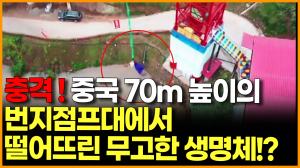 [영상] 충격! 중국 70m 높이의 번지점프대에서 떨어뜨린 무고한 생명체의 정체는?!?