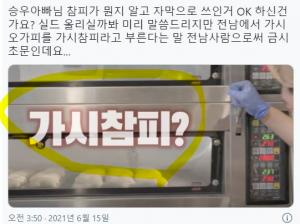 "너무 역겹네요" 유튜버 승우아빠, &apos;가시참피&apos; 부적절 자막 사용…편집자 &apos;사과&apos; 