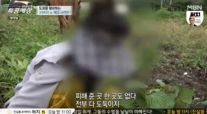 &apos;특종세상&apos; 거리를 거니는 20마리의 소떼, 주인이 있었다…한 할머니의 사연은