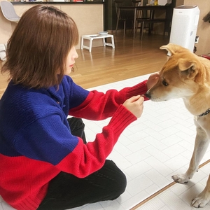 “해결책 마련됐으면”…배우 이초희, 수의사 동물학대범에 분노→피해자들 위로