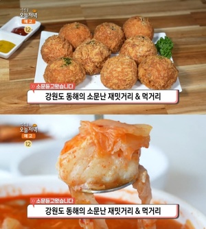 ‘생방송오늘저녁’ 동해 맛집, 어묵크로켓 vs 곰치국…액티비티 하늘자전거·대형슬라이드 ‘눈길’