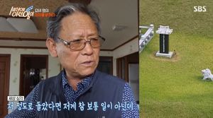 ‘세상에이런일이’ 묘비 주변을 돌아다니는 꿩의 사연은? 도시생태연구소장…“고독한 영역 싸움” (2)