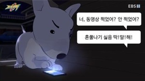 "돈 주면 싸는 것 보여줘?"…&apos;똥밟았네&apos; EBS 포텐독, 불법촬영 범죄 미화 논란