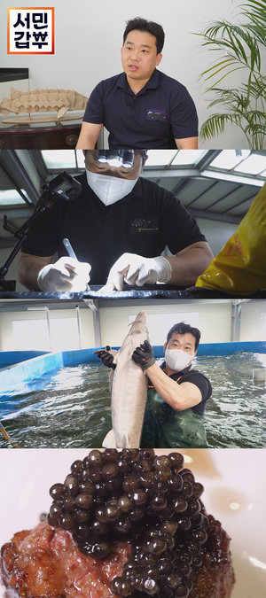 ‘서민갑부’ 20대 청춘과 맞바꾼 10년, 철갑상어로 연 매출 30억 달성