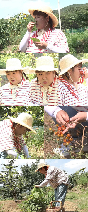 ‘나 혼자 산다’ 김민경, 다시 찾은 주말농장, 박세리가 선물한 블루베리 나무의 근황은? 초보 농사꾼의 하루