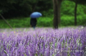 [오늘 날씨] 낮까지 전국 곳곳 국지성 호우…충청·전북 호우특보