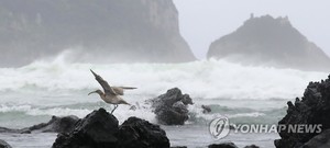 "16일 제주도 태풍 예비 특보"…14호 태풍 &apos;찬투&apos;, 위치-이동경로 보니?