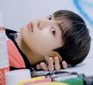 방탄소년단 정국, 틱톡 #jungkook 750억뷰 돌파 &apos;역대 전세계 개인 1위&apos;...&apos;소셜 제왕&apos; 초강력 존재감