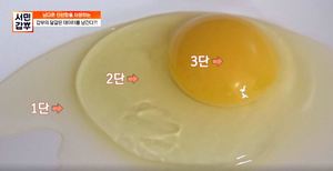 &apos;서민갑부&apos; 양계장 갑부, 계란 신선도 확인하는 초간단 방법은?