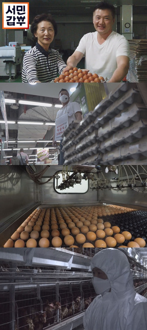 ‘서민갑부’ 달걀로 120억 원을 깬 사나이, 위기를 기회로 만들며 12배 높은 매출을 일궈낸 비법 대공개