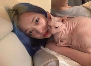 김선아, 故설리와 고양이의 행복한 한 때 공개…"엄마랑 딸"
