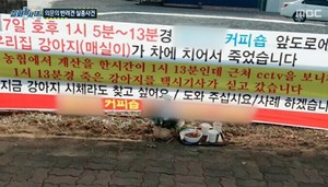 [종합] ‘실화탐사대’ 감치명령문, 양육비 없는 아내를 위한 법일까?…반려견을 개소주로 만든 택시기사