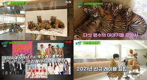 ‘유퀴즈’ 6월에 태어난 호랑이, 사육사가 돌보는 오둥이 이야기…소녀시대-샤이니-엑소를 만든 민희진의 인생 (2)