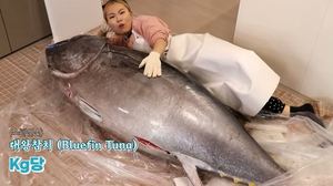 "650만 원어치"…유튜버 수빙수, 구독자 100만 달성→150kg 통참치 해체