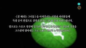 "실망 안겨드리는 점 깊이 사과"…&apos;골때녀&apos;, 편집 조작 재차 사과+재발 방지 약속→달라지는 점은?