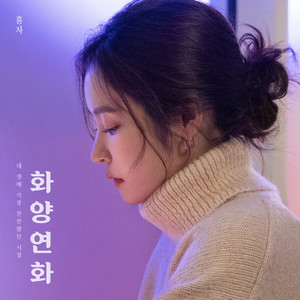 &apos;오늘(26일) 컴백&apos; 홍자, 데뷔 10주년 맞아 &apos;화양연화&apos; 준비한 이유 (일문일답)