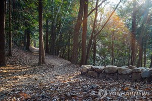 &apos;땅끝 봄기운 가득&apos;…해남 달마고도서 내달 23일 힐링축제