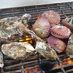 ‘생생정보’ 보령 천북굴단지 굴구이·굴찜 맛집 위치는? 굴전-생굴-돌솥영양굴밥-굴칼국수-굴물회-굴무침 外