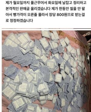 "700장 장당 800원에 판매?"…포켓몬빵, &apos;띠부띠부씰&apos; 스티커 백도어 의혹