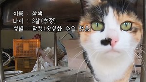 "선한 영향력 계속될 것" 유튜버 하하하(hahaha), 굿즈 수익금 일부 기부