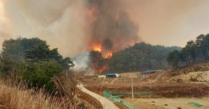 원전까지 위협한 울진 산불 초속 25m 강풍에 강원도 삼척까지 확산