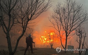 [경북 울진·강원 삼척 산불] 산불 확산되면?…이미 탔거나 낮은 장소로 이동해야