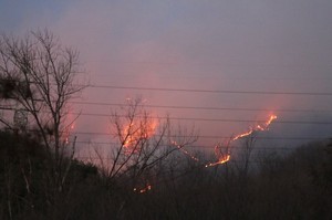 경기 안산 수리산 산불, 17시간 만에 큰 불길 잡았다