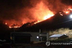 [동해안 산불] 올들어 산불 245건, 작년 2배 육박…건조한 날씨 영향 (강원·경북 산불 확산)