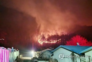 강원 밤새 확산 없어…일출과 동시에 헬기 42대·5천명 투입(강원·경북 산불)
