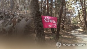 [오늘 날씨] 건조한 대기에 강한 바람, 강원 대기 매우 건조…산불 등 화재 주의