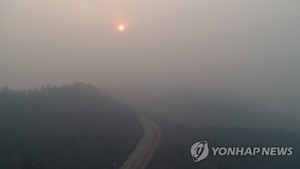 동해안 산불 금강송 접근 서쪽 불길 차단 총력전…강릉·동해 진화에 속도(강원·경북 산불)