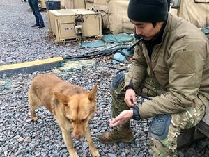 [종합]이근 대위 "우크라이나 도착, 6.25 전쟁 도움에 보은하겠다"…외교부 "우크라 의용軍 팀이뤄 출국한 이근, 여권무효화 조치 예정" [러시아∙우크라이나 전쟁]