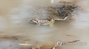 [날씨] &apos;건조주의보&apos; 대전·세종·충남 &apos;산불 주의&apos;…낮 최고 15도