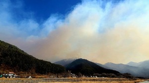 강원산불 주불 진화 성공 전망…영월 진화완료, 동해·강릉·삼척 총력(강원·경북 산불 진화)