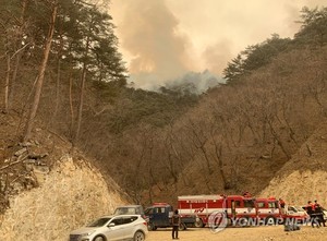산림청장 "금강송 군락지 산불 일부 진입…핵심부분 최대 방어"(강원·경북 산불 진화)