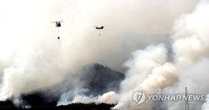 결국 금강송까지…불길 강해 진화율 65% 그쳐, 장기전 불가피(강원·경북 산불 진화)