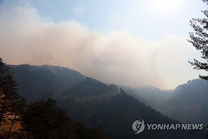 금강송 군락지 방어 총력전…헬기 82대 투입(경북 울진·삼척 산불)