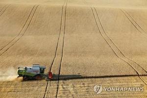 "세계 밀 공급위기…재배면적 더 늘리기도 어려워"(러시아 우크라이나 침공)
