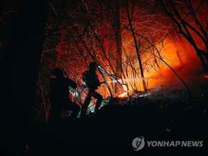 통계 작성 이후 최장 시간…2000년 191시간 기록 깨(경북 울진·강원 삼척 산불)