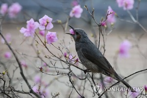 [오늘 날씨] 전국에 봄비 소식…수도권에서 시작돼 남부로 확대