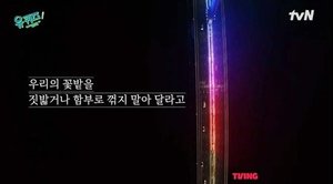 &apos;유퀴즈&apos; 제작진, 尹 출연 비난에 심경 고백…"우리 꽃밭 짓밟지말라"