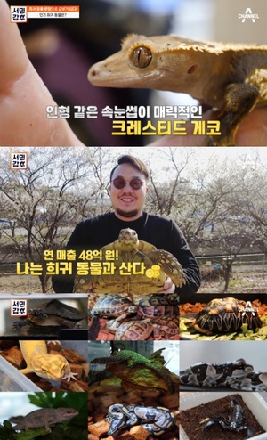 ‘서민갑부’ 최재혁 씨의 희귀 반려동물 매장 위치는? 육지거북이-도마뱀-뱀 外 눈길!