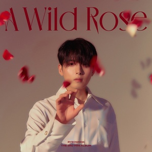 려욱, ‘명품 발라더’ 3년 만에 솔로 컴백…오늘(3일) 신보 ‘A Wild Rose’ 발매