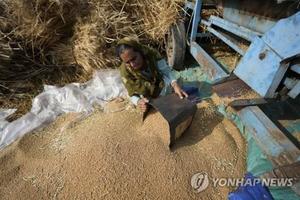 우크라 사태로 국제 가격 뛰자 인도네시아는 팜유, 인도는 밀 수출 금지…&apos;식량보호주의&apos; 확산