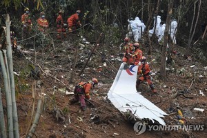 시속 1천㎞로 수직 추락한 중국 광시 동방항공 여객기 사고 원인, &apos;조종사 고의&apos;에 무게