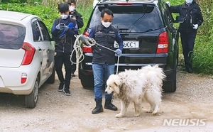 &apos;남양주 개물림 사망 사건&apos; 견주, 1년 만에 구속기소된 이유 뭐길래?